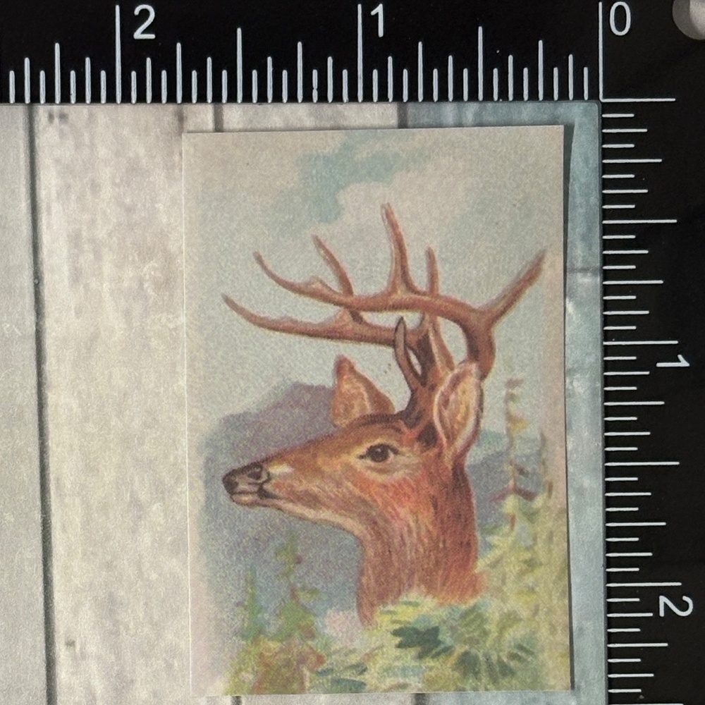 🌀10/$10🌀 Classic Hoofed Beasts Reusable Washi Sticker Decal